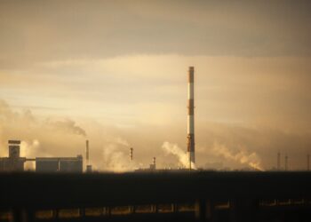 Photo by Zoya Loonohod on Unsplash