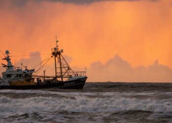 Photo by Wim van 't Einde on Unsplash