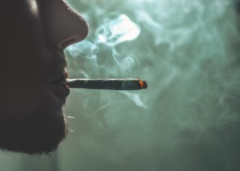 Photo by GRAS GRÜN on Unsplash