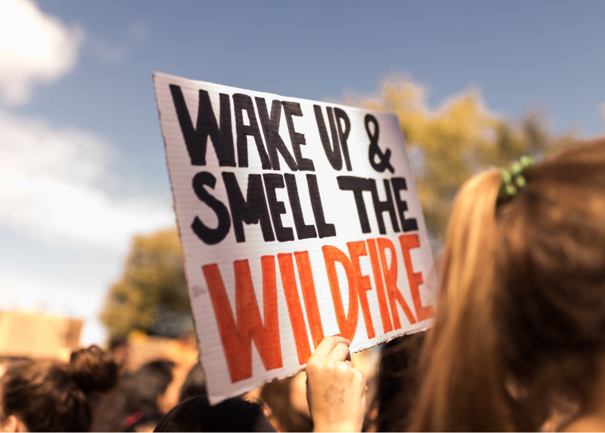 Photo by Radu Stanescu on Unsplash