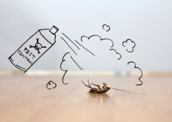 5 Types of Pests the UK and Australia have in common