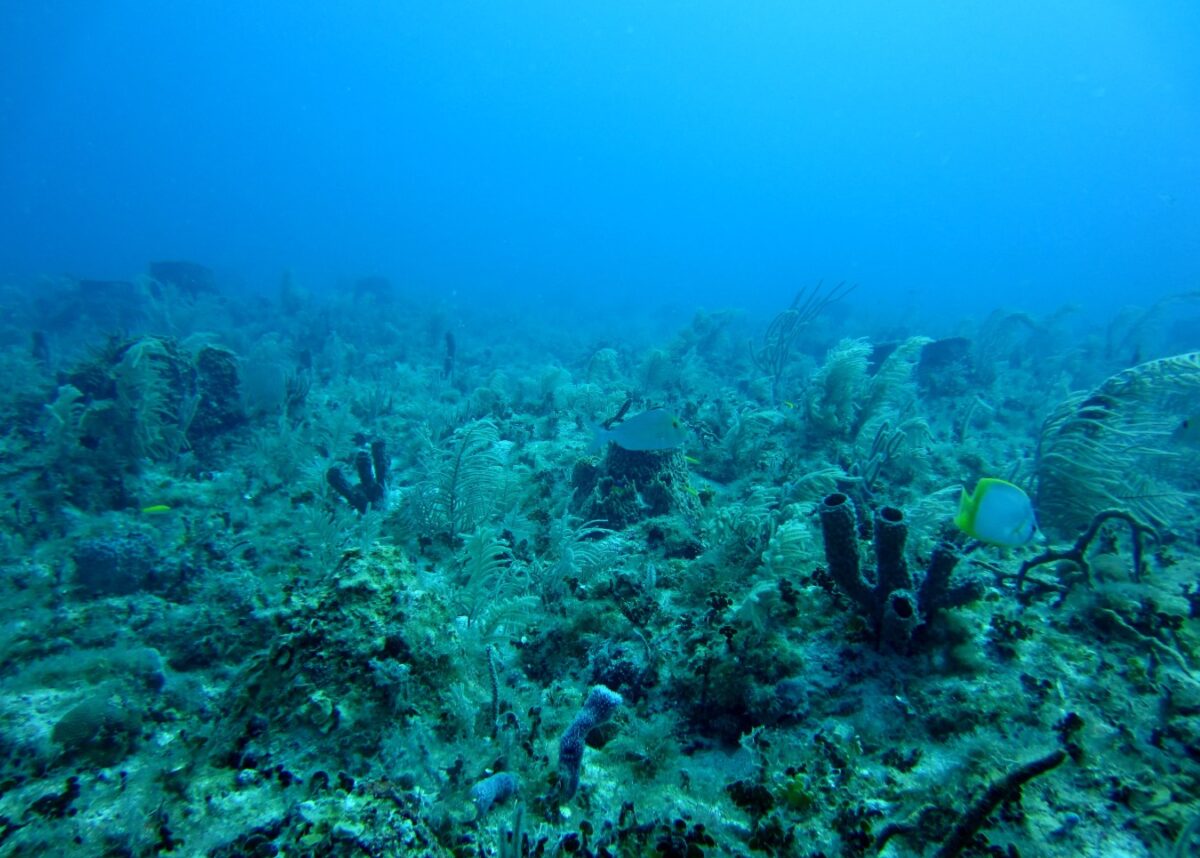 Photo by NOAA on Unsplash