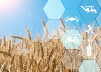 The best universities in the world for studying Agriculture