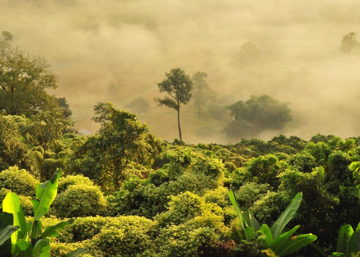 Photo by Boudewijn Huysmans on Unsplash