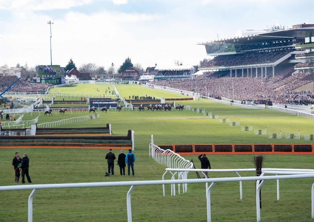 Three Novices to watch at the 2022 Cheltenham Festival