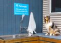 NRMA welcomes dogs at four NSW South Coast Holiday Parks